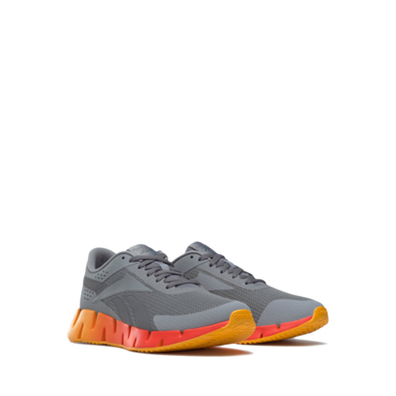 Zig Dynamica 2 Men's Running Shoes - Grey
